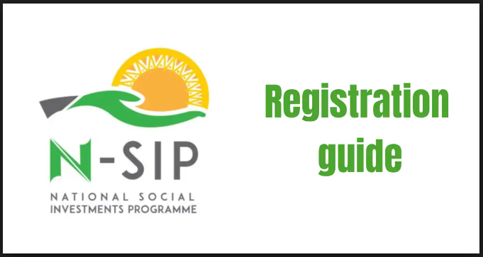 How to Apply for NSIP program 2022/2023 | NSIP Registration Portal 2022
