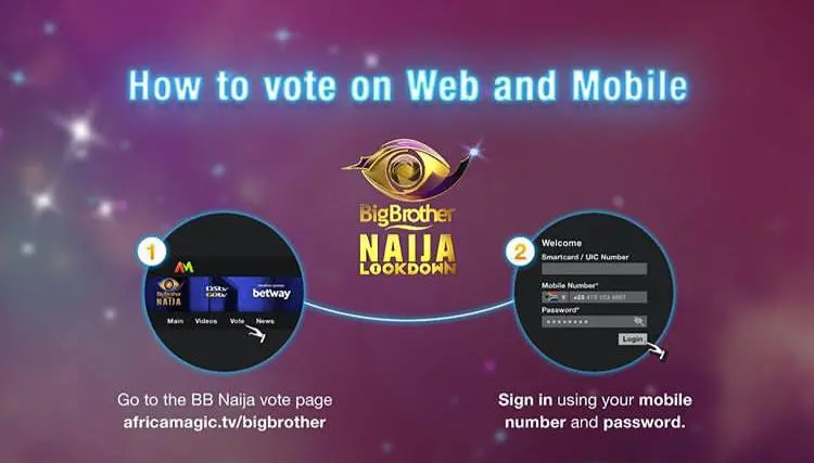 Free Vote for BBNaija 2022 Housemates on the Web (Web Vote)